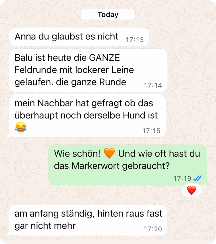 WhatsApp-Chat im Dunkelmodus: Eine Hundehalterin erzählt begeistert, dass ihr Labrador Balu zum ersten Mal die ganze Runde an lockerer Leine gelaufen ist. Überschrift: „Nach 2 Wochen: Zum ersten Mal die ganze Runde mit lockerer Leine."
