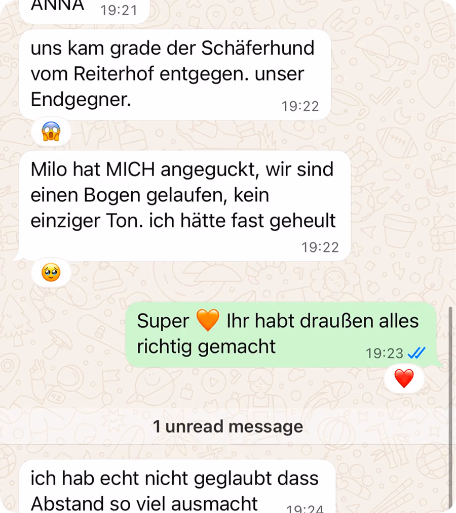WhatsApp-Chat im Dunkelmodus: Eine Hundehalterin berichtet gerührt, dass ihr Australian Shepherd eine Hundebegegnung zum ersten Mal ganz ruhig gemeistert hat. Überschrift: „Anderer Hund auf 5 Metern. Und nichts ist passiert."
