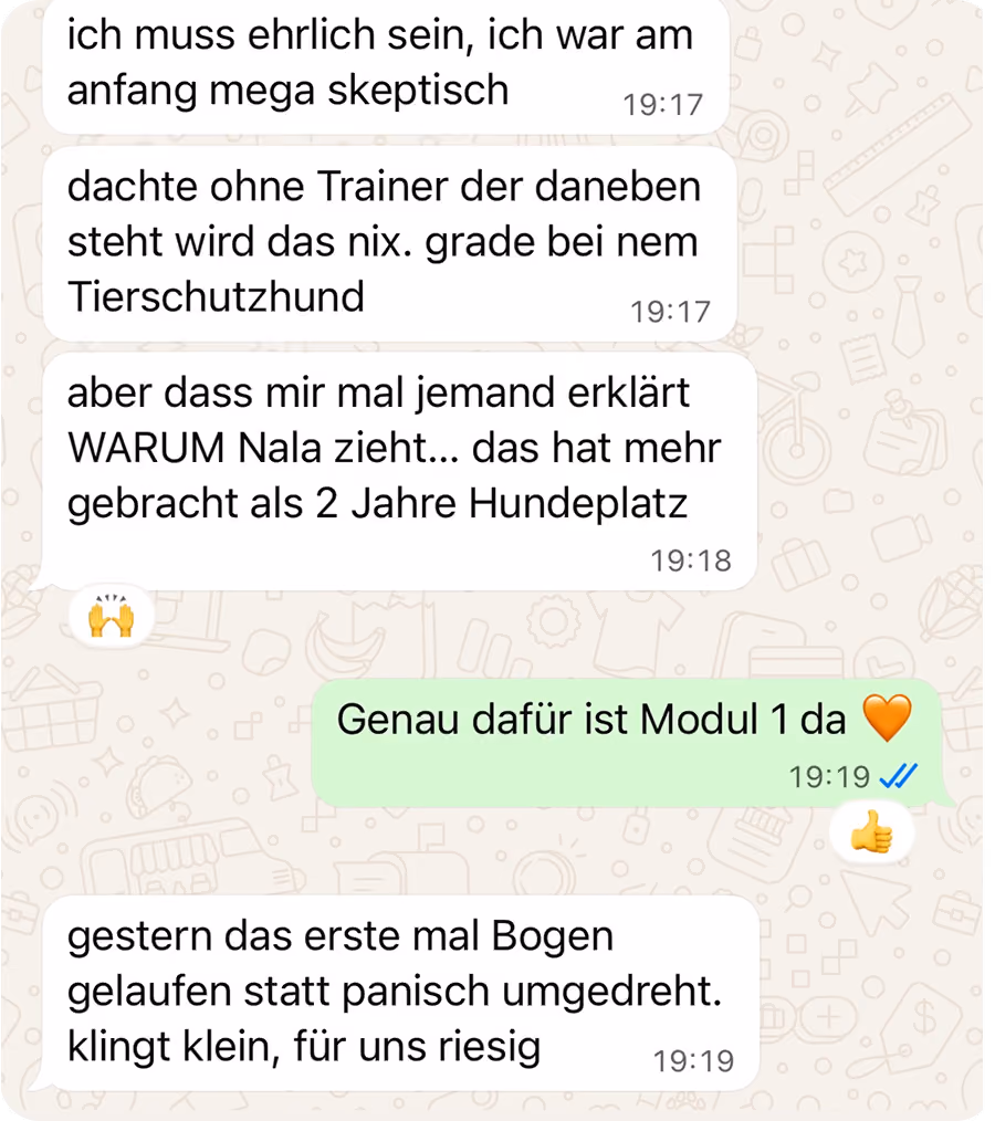 WhatsApp-Chat im Dunkelmodus: Die anfangs skeptische Halterin eines Tierschutzhundes schreibt, dass der Online-Kurs ihr mehr gebracht hat als zwei Jahre Hundeplatz. Überschrift: „Ein Online-Kurs? Bringt doch nichts. Und dann das."