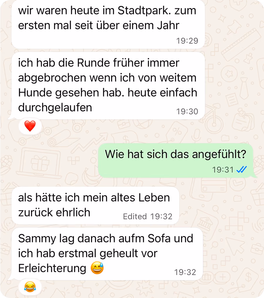 WhatsApp-Chat im Dunkelmodus: Eine Hundehalterin erzählt, dass sie mit ihrem Hund nach über einem Jahr Vermeidung wieder entspannt durch den Stadtpark gelaufen ist. Überschrift: „Sie hat den Park ein Jahr gemieden. Heute war sie da."