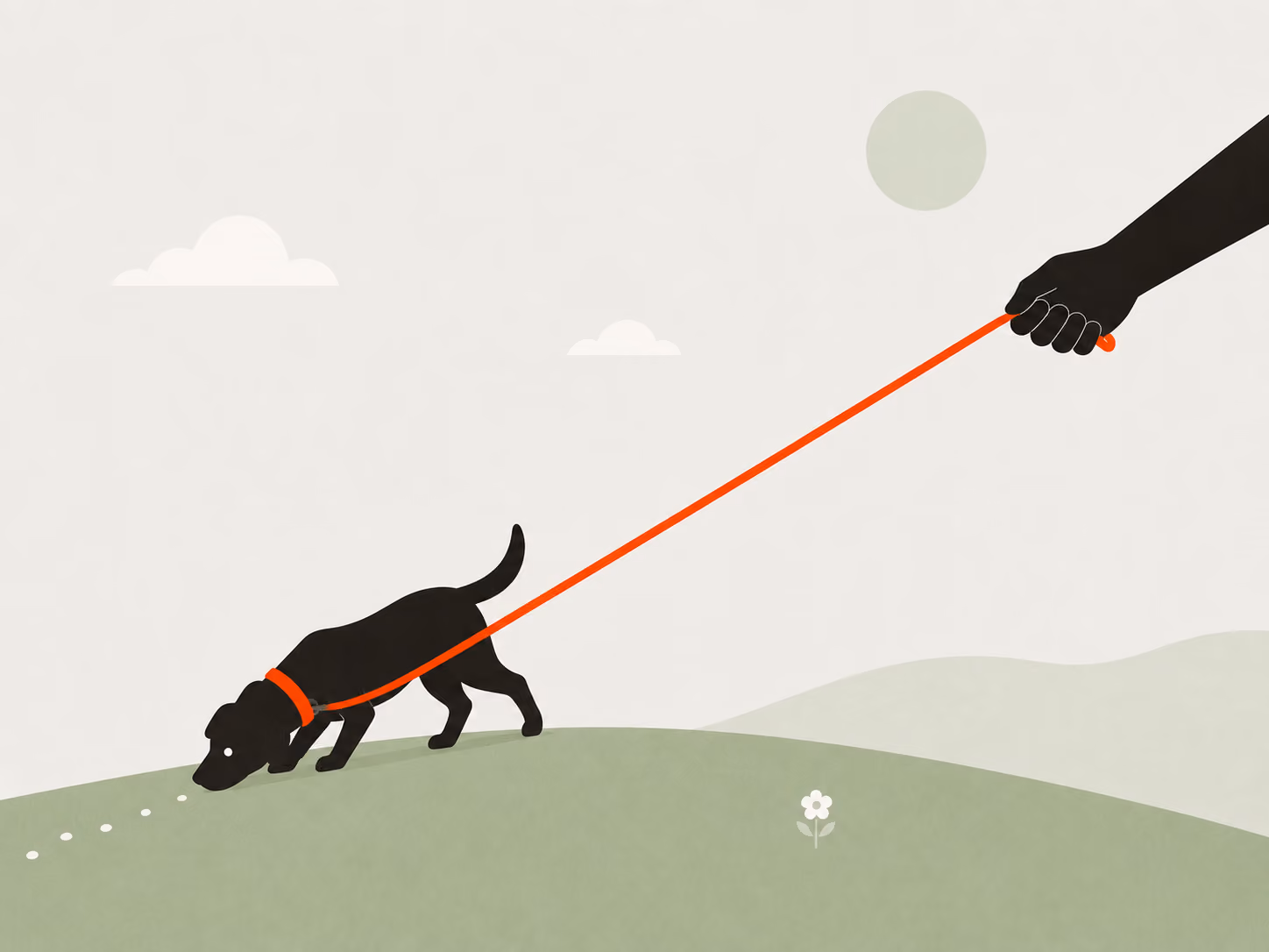 Platzhalter Cover: Hund zieht an der Leine und schnüffelt