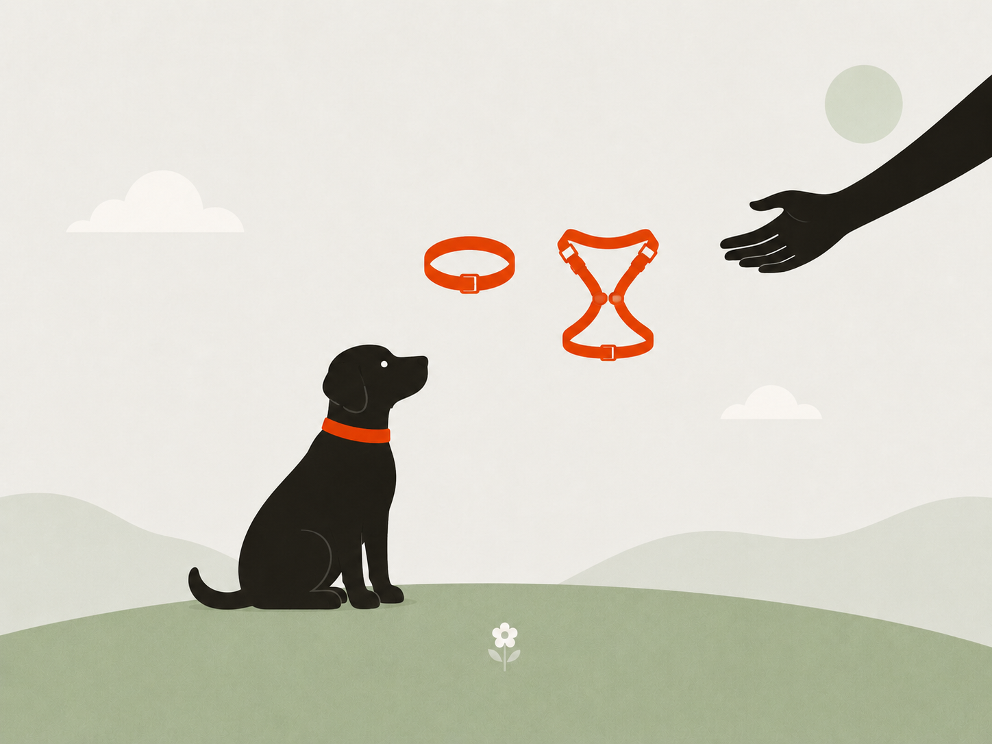 Platzhalter Cover: Geschirr oder Halsband, wenn der Hund zieht