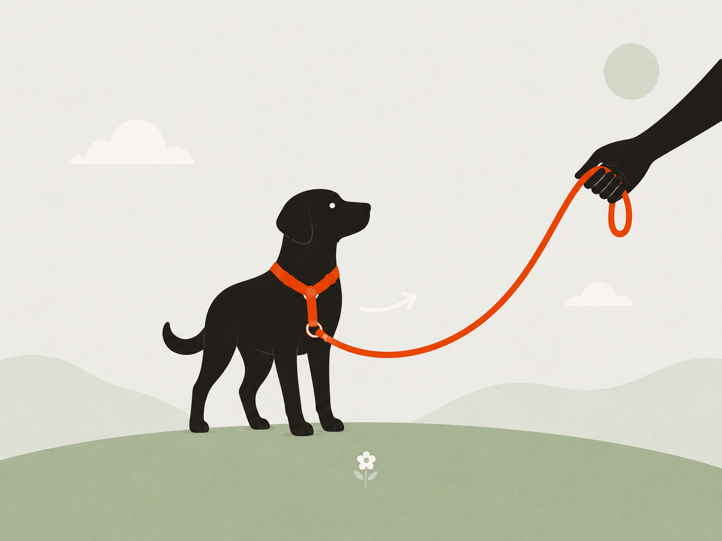 Illustration: Hund mit orangefarbenem Y-Geschirr und Frontring, die Leine dreht ihn sanft zur Halterin