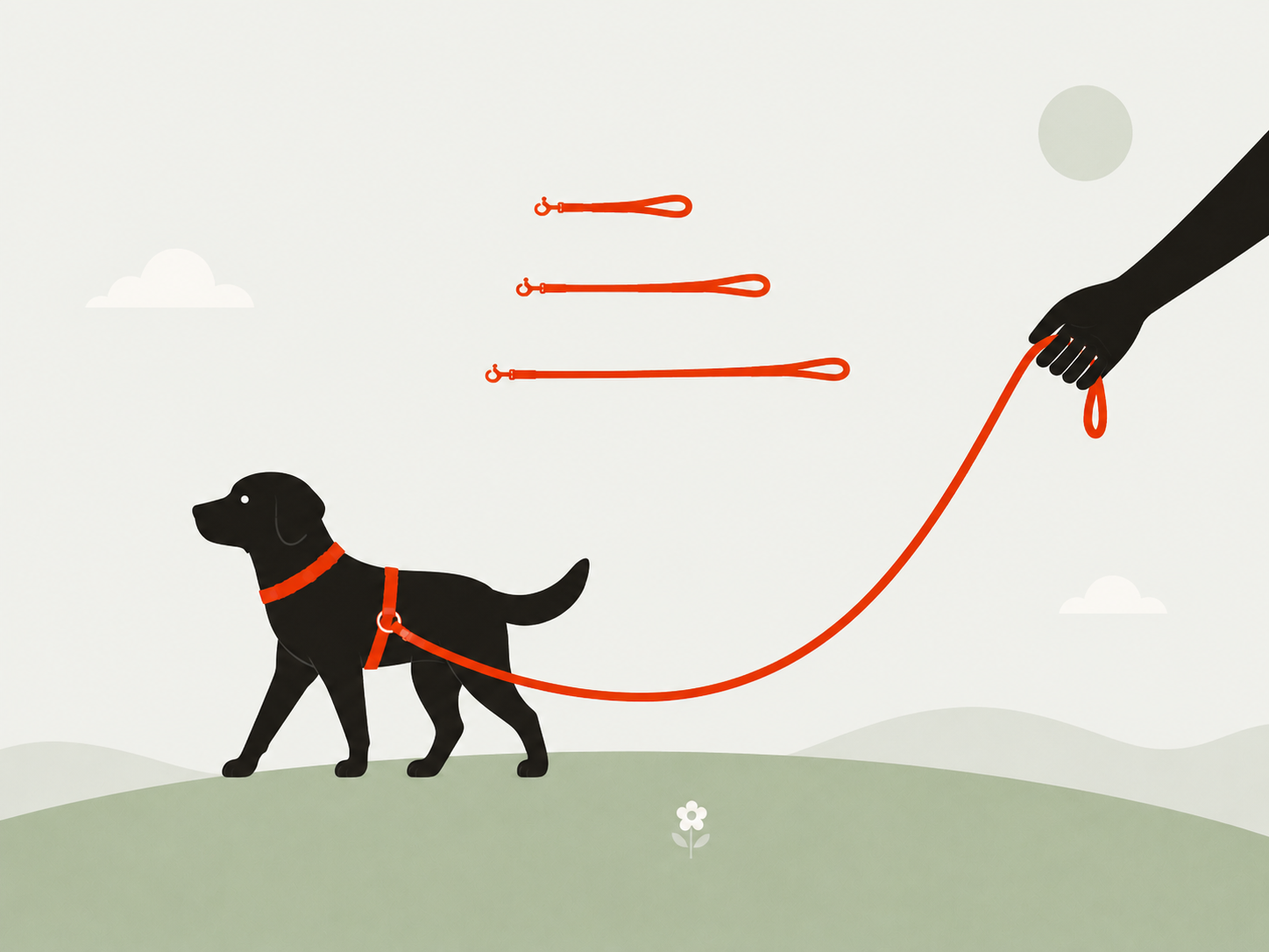 Illustration: Hund an lockerer Leine, die Leine hängt in einem entspannten Bogen zur Hand der Halterin