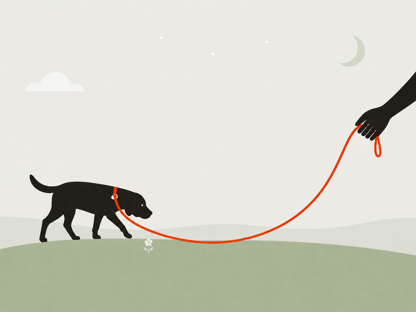 Illustration: Hund an lockerer Leine bei Dämmerung, Mondsichel und Sterne am hellen Himmel
