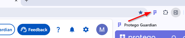 The pinned Protego Guardian P icon in the browser toolbar