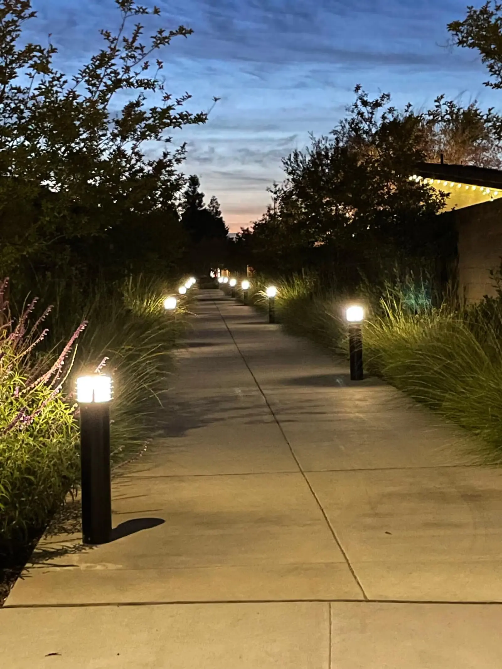 Evening sidewalk lined with glowing pathway lights and bordered by grass and trees under a darkening sky.