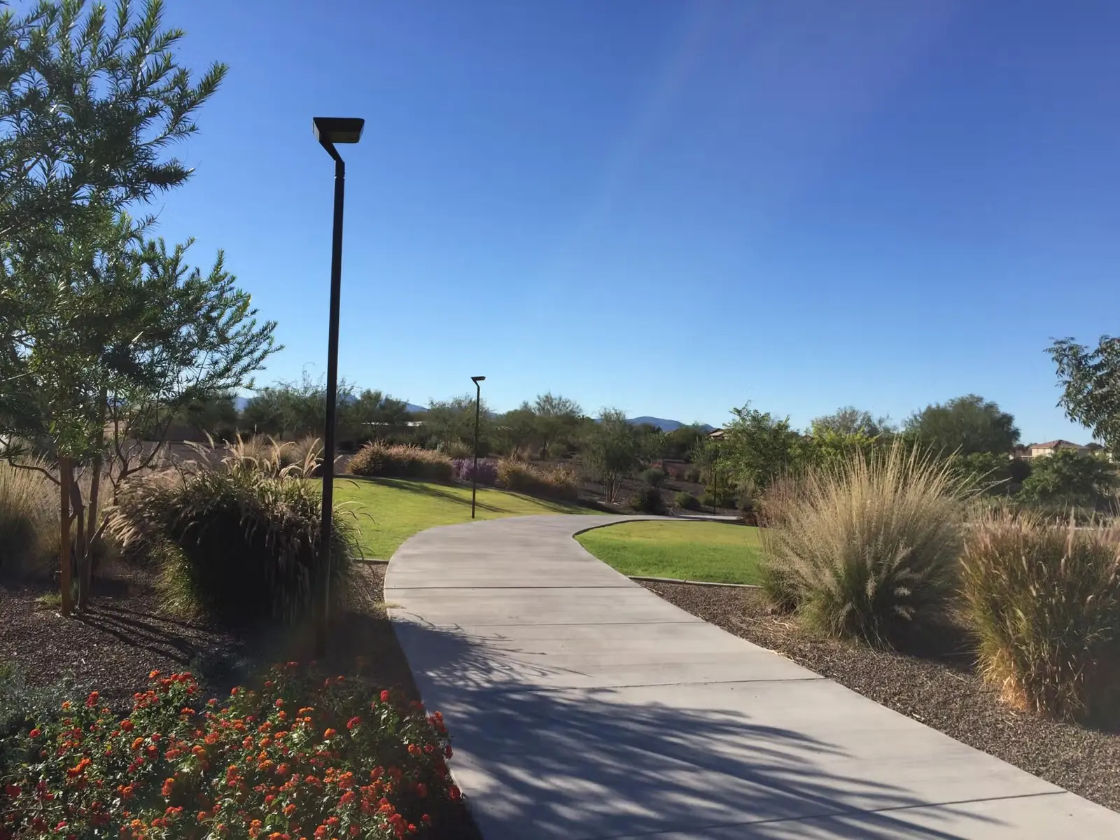 Curved concrete path through a landscaped park with bushes, trees, and lamp posts under clear blue sky.