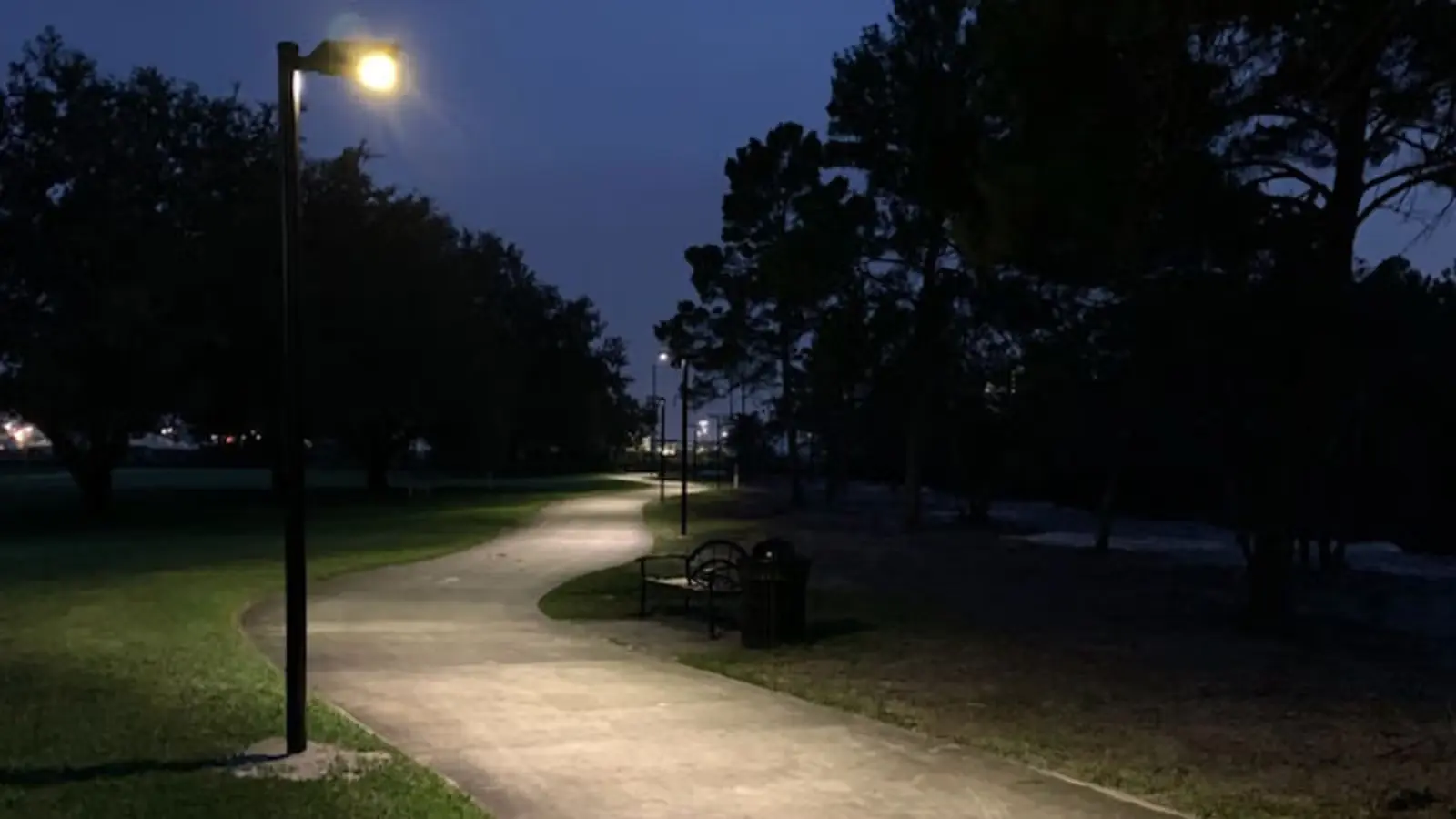 Curved park pathway illuminated by lampposts at night with benches and trees alongside.