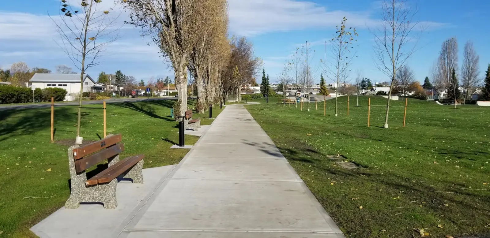 Straight concrete pathway in a park lined with benches and leafless trees on a sunny day.
