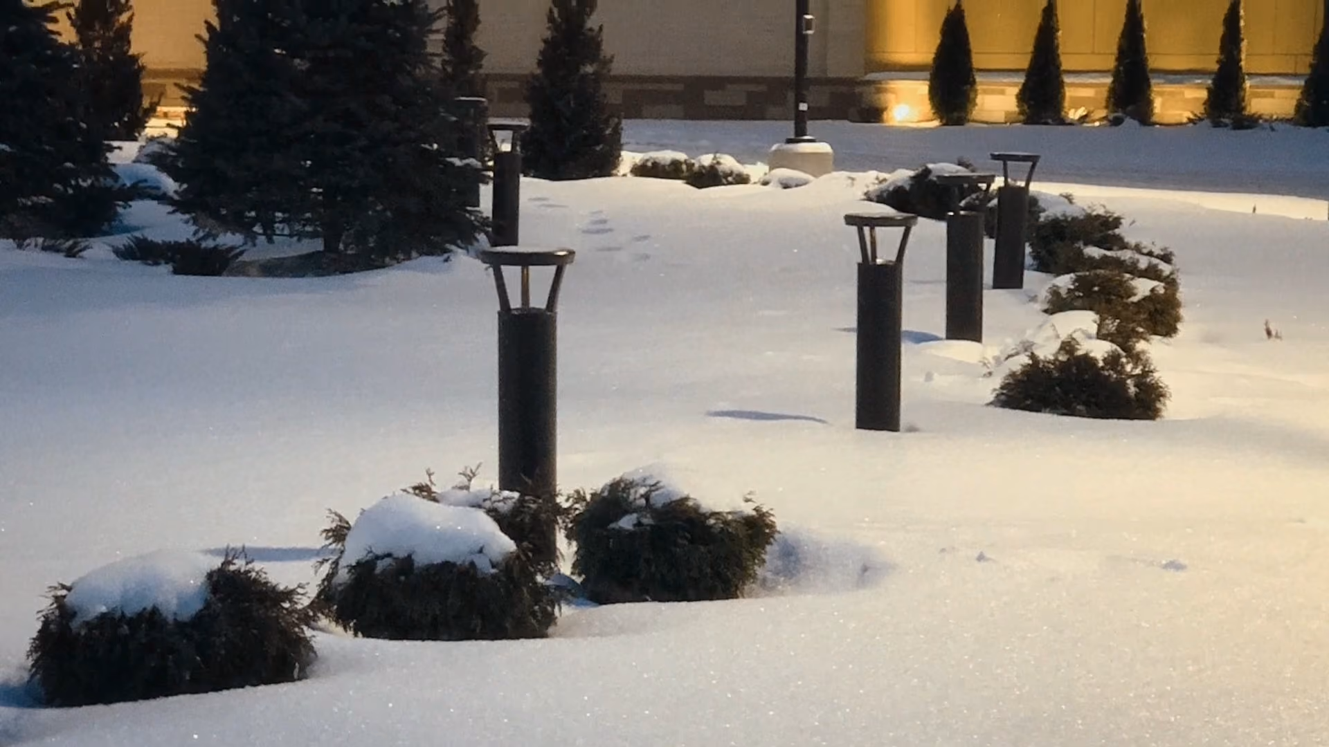 Snow-covered bushes and black lamp posts in a row at dusk with a building and trees in the background.