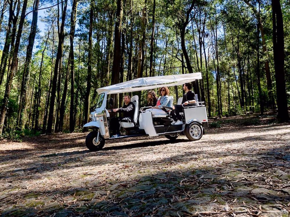 Ein L5 Limo GT mit vier Personen fährt auf einem Waldweg durch einen sonnigen, dicht bewachsenen Wald.