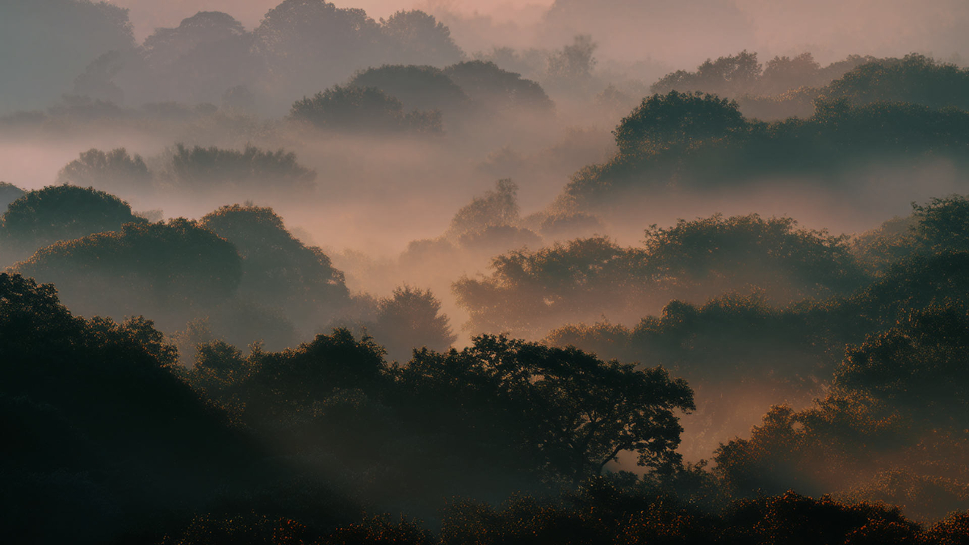 Fog rolling through a dense forest with sunlight filtering softly through the trees.