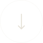 White downward arrow inside a dark circular button.