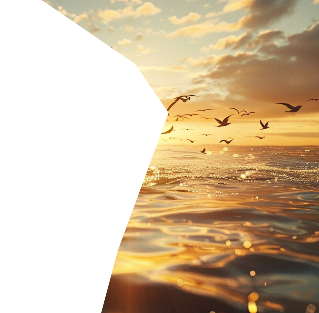 Birds flying over a sunlit ocean during a golden sunset with scattered clouds.