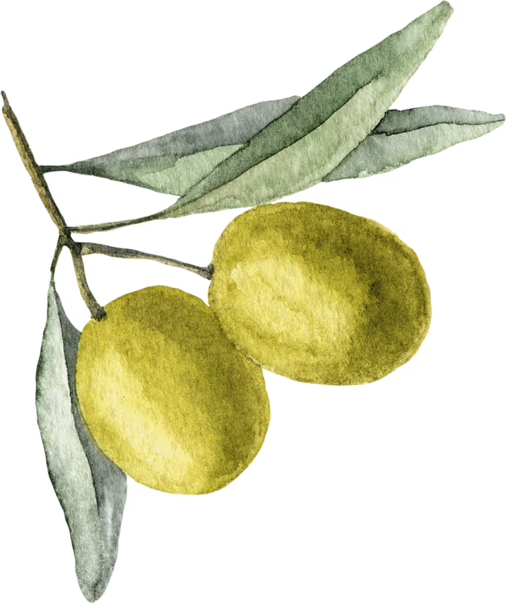 Watercolor illustration of two green olives on a twig with green leaves.