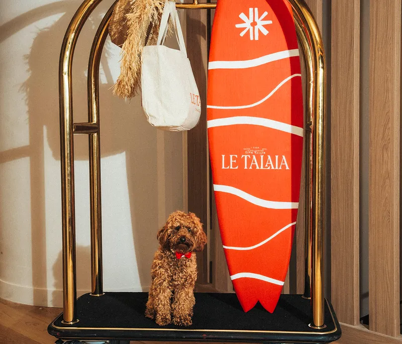 Un petit chien marron avec un nœud papillon rouge est assis près d'une planche de surf rouge Le Talaia.