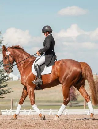 Cavalier en tenue de dressage noire et blanche montant un cheval alezan aux guêtres blanches dans une carrière en plein air, sous un ciel nuageux.