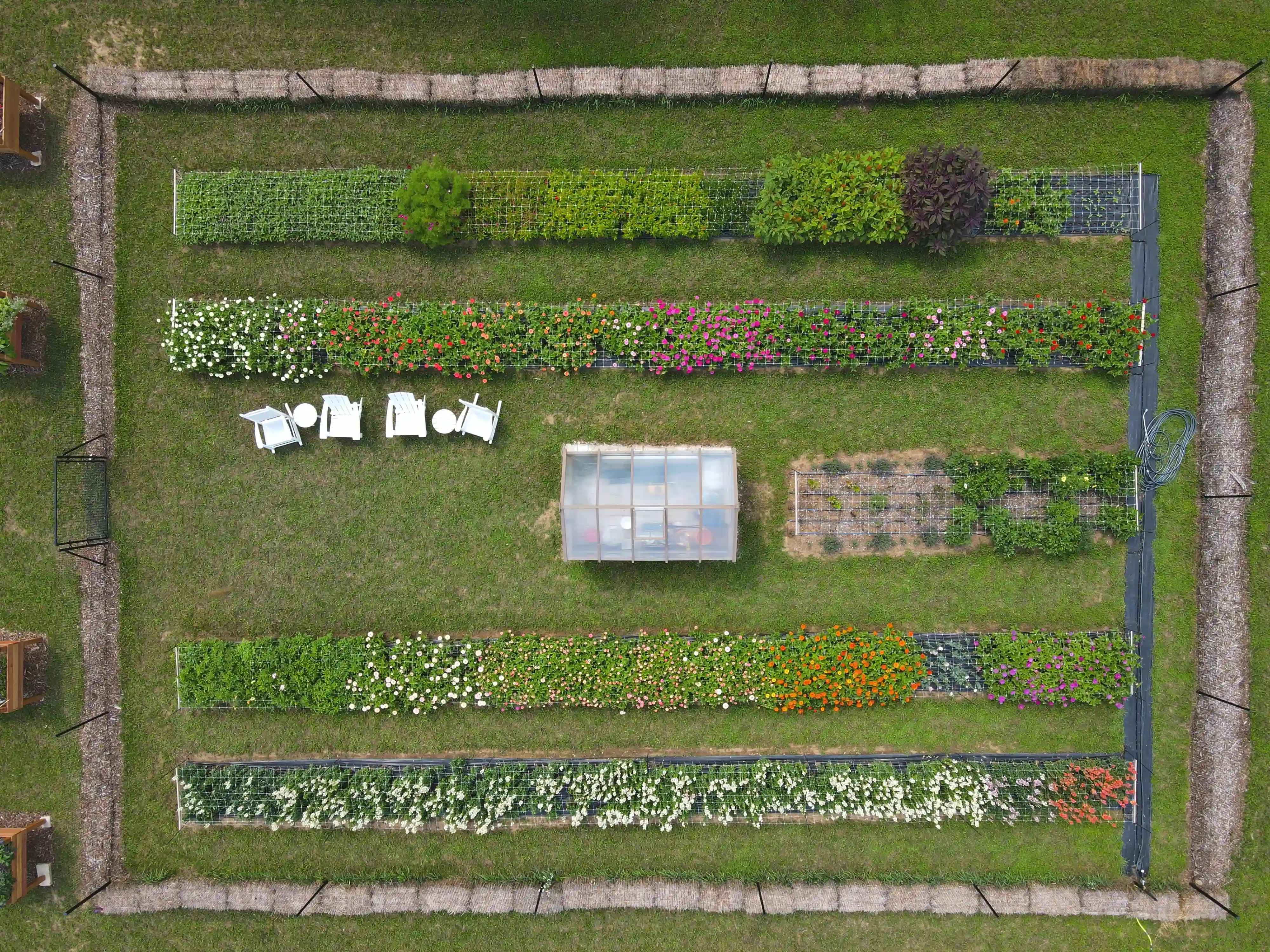 Aerial view of the Meridio Farm garden, showing rows of flowers, a small greenhouse, and seating arranged on the grass.