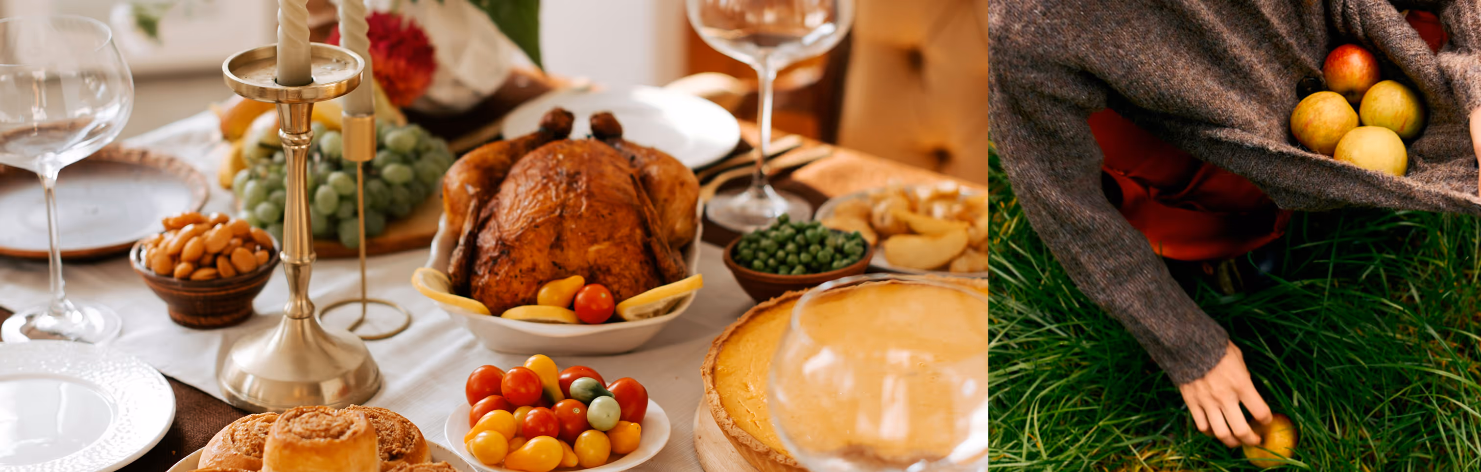 Holiday feast with a roasted turkey, vegetables, pie, rolls, and a person gathering apples in grass. Credit: Daniel Faro