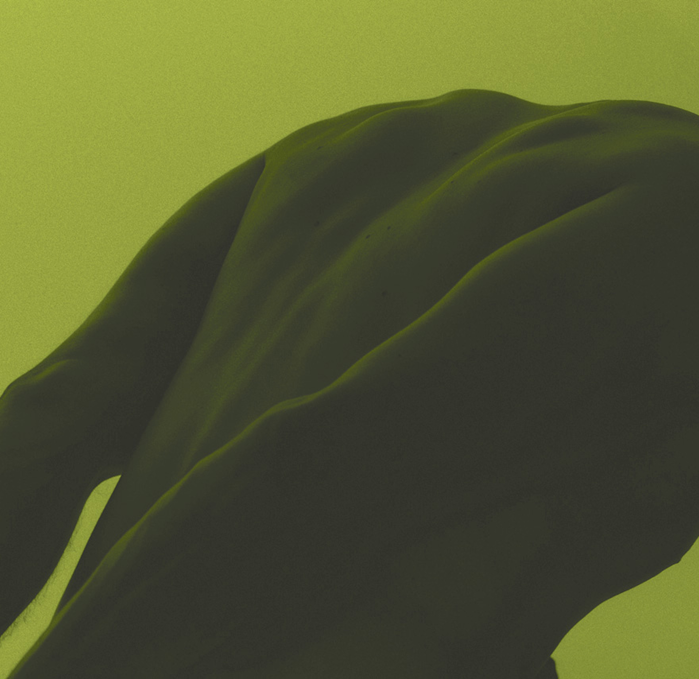 Muscular human back and shoulder muscles in green monochrome lighting. Credit: Daniel Faro