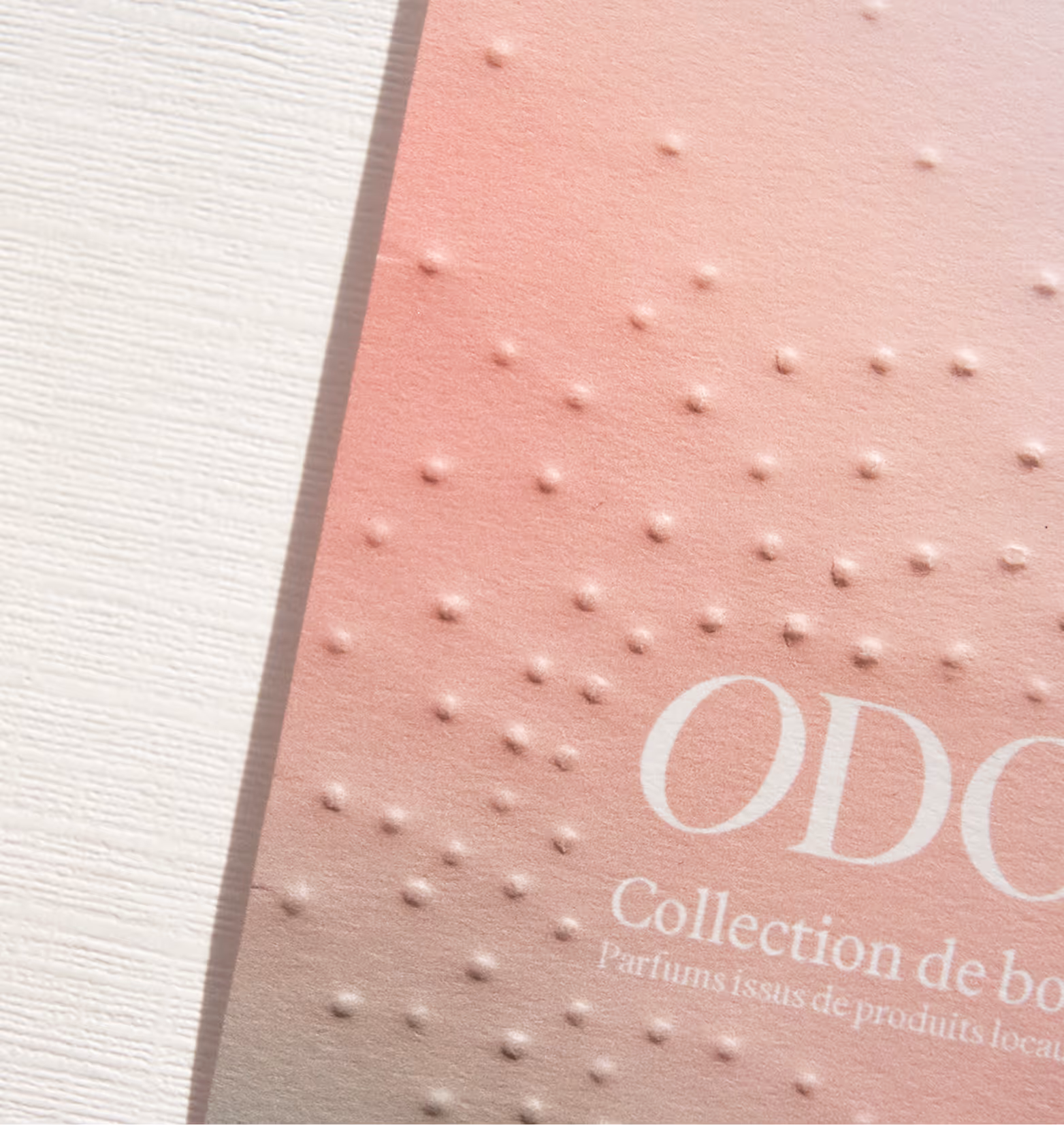 Pink embossed paper with raised dots and partial white text on a white textured surface. Credit: May-Lee Abel
