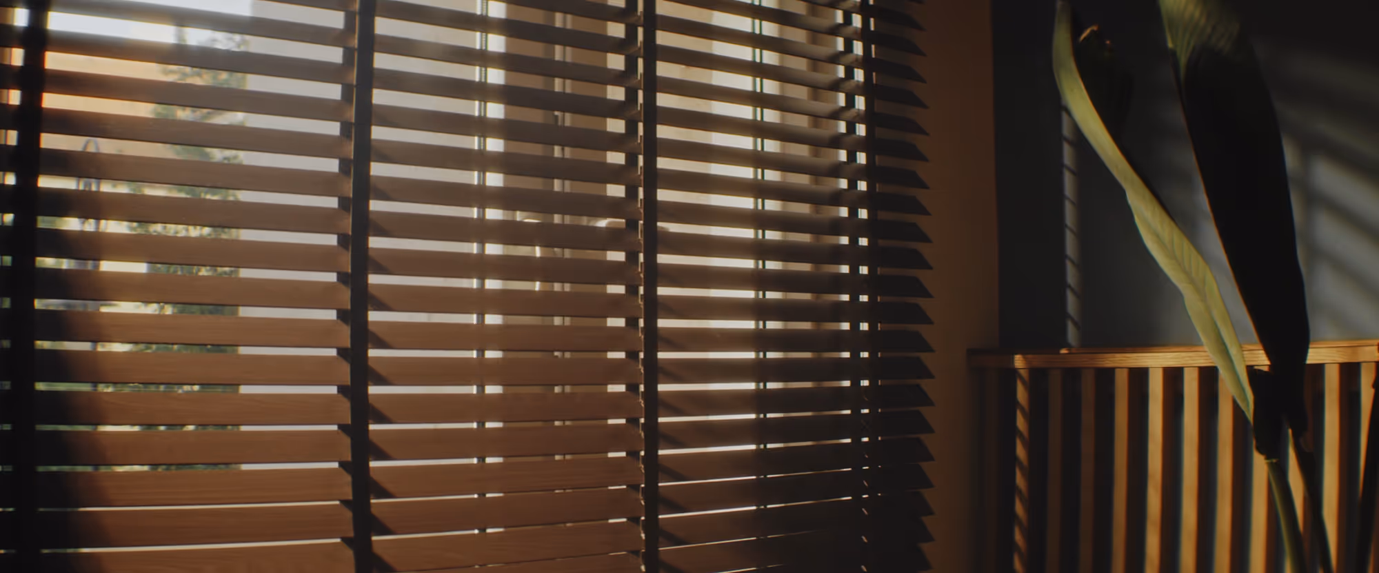 Sunlight filtering through horizontal wooden blinds casting shadows on a wall and a large green leaf nearby.