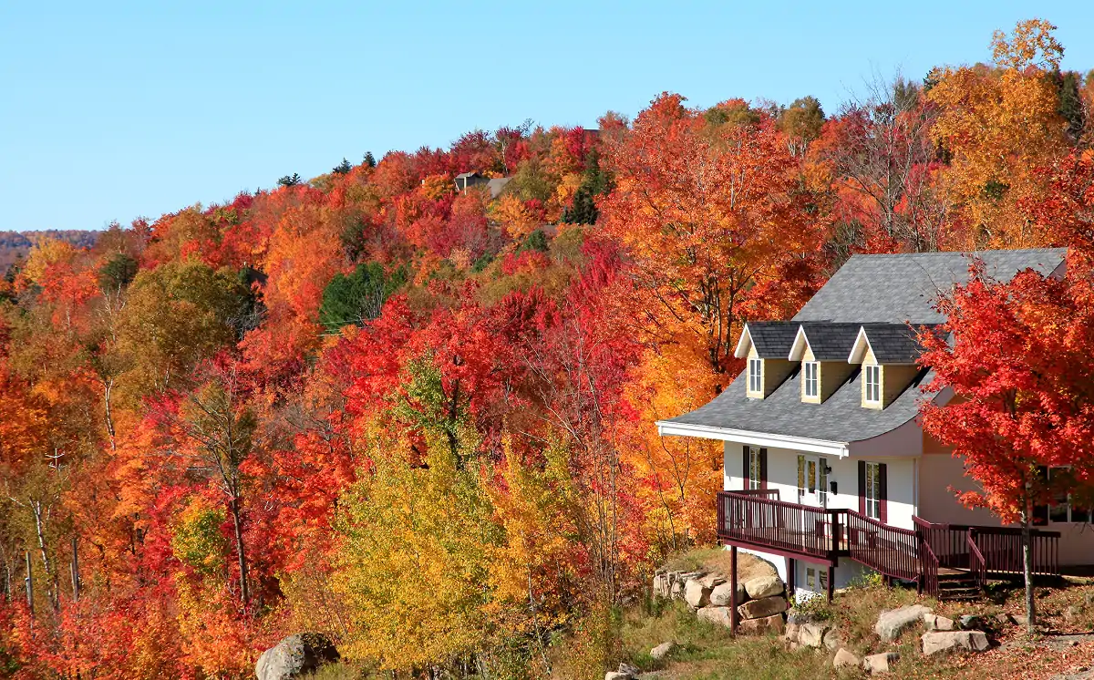 White house with a porch surrounded by vibrant autumn trees with red, orange, and yellow leaves under a clear blue sky.