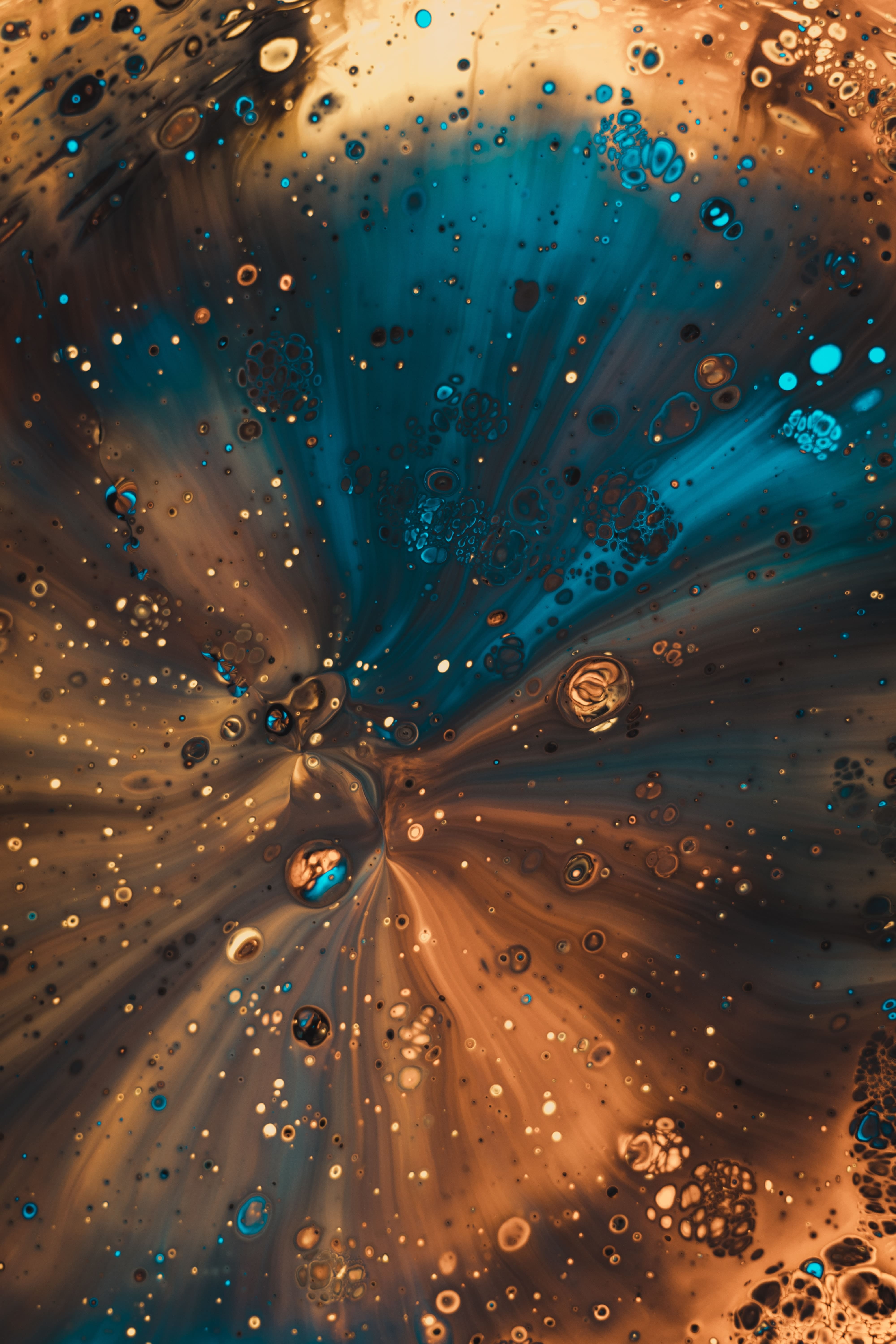 Gloriousa main image