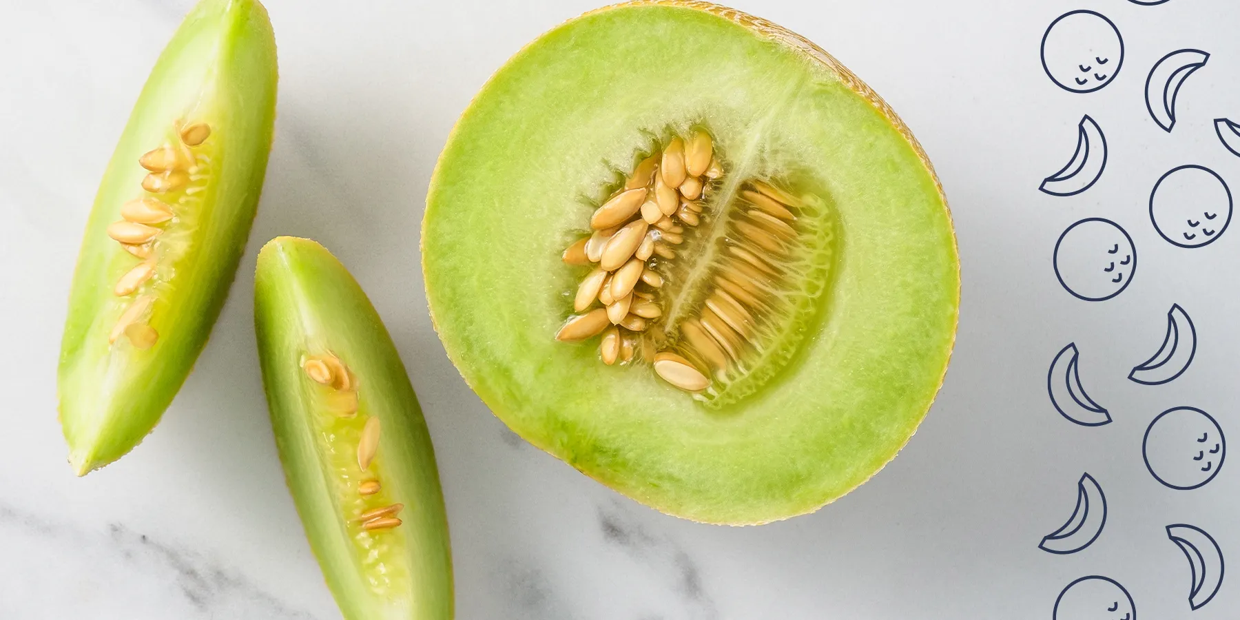 This Melon Is The Fruit of The Summer