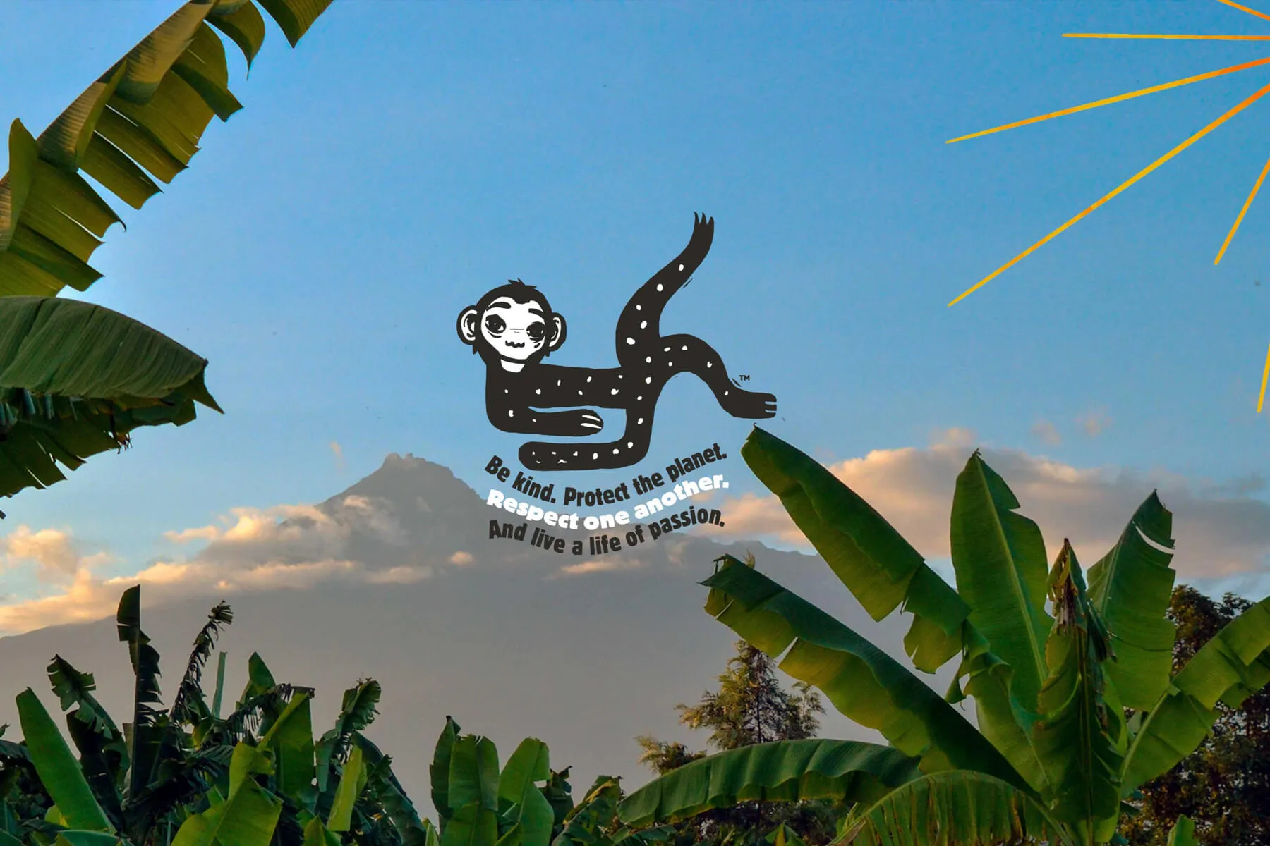 To The Root: Barnana