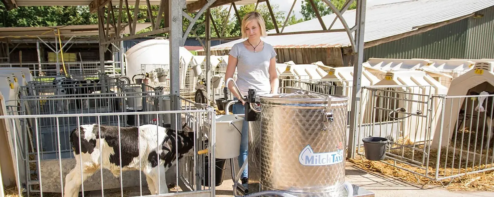 Ošetřovatelka s vozíkem MilkTaxi mezi individuálními boudami pro telata