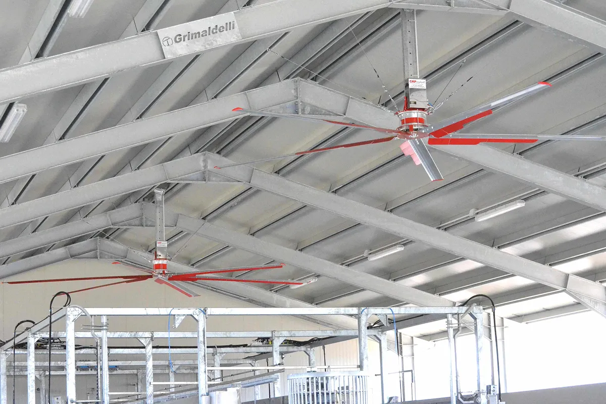 Dva velkoprůměrové stropní ventilátory s červenými lopatkami pod krovem stáje