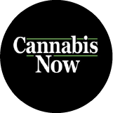 Cannabis Now logo