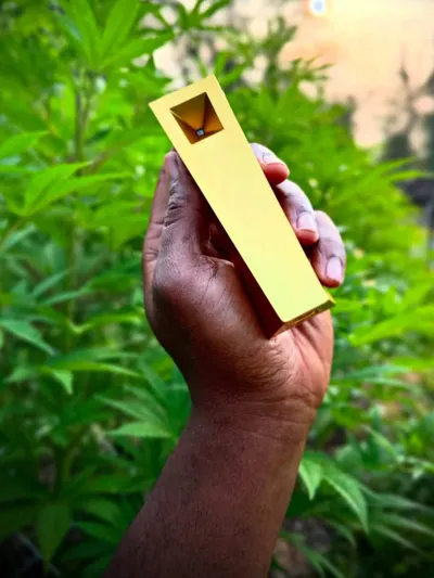 Gold Radiance Tempest pipe held in hand outdoors with greenery at sunset