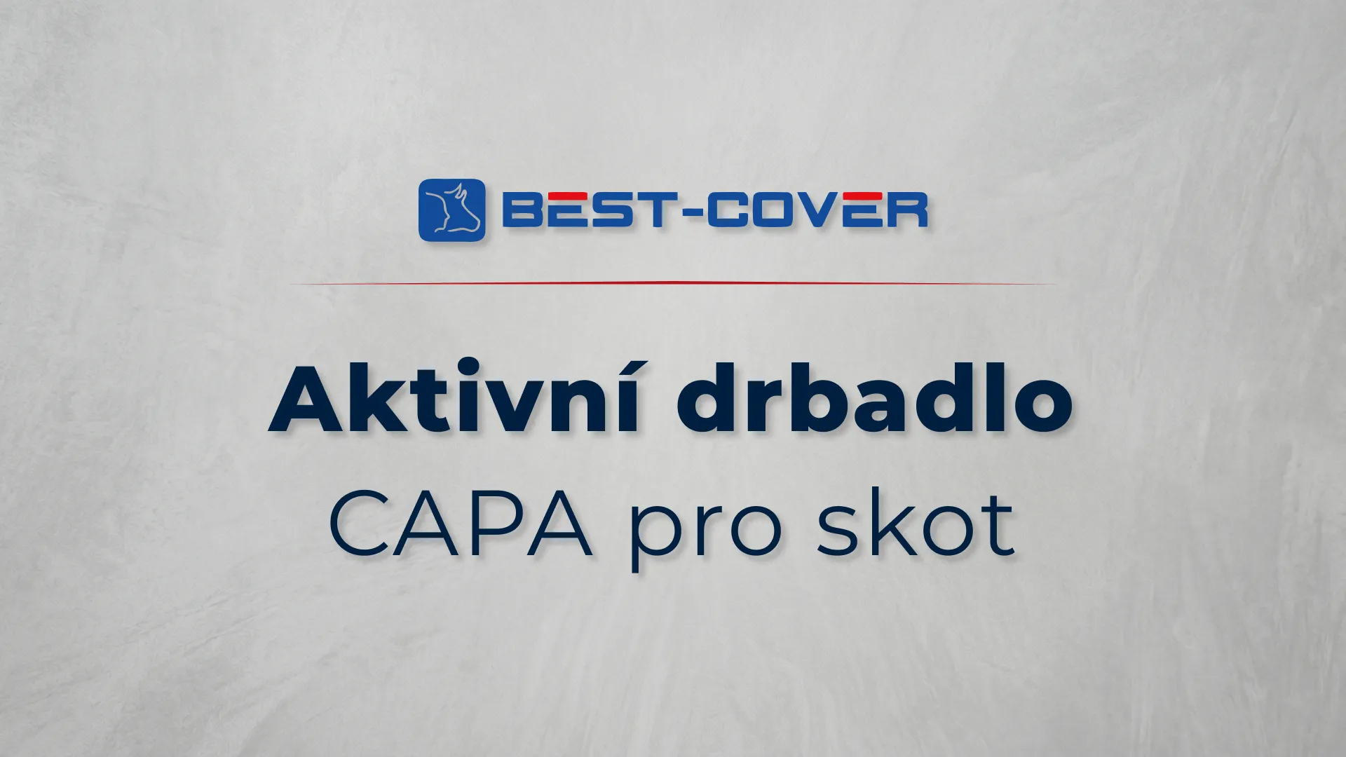 Titulní karta videa Best-Cover – Aktivní drbadlo – CAPA pro skot