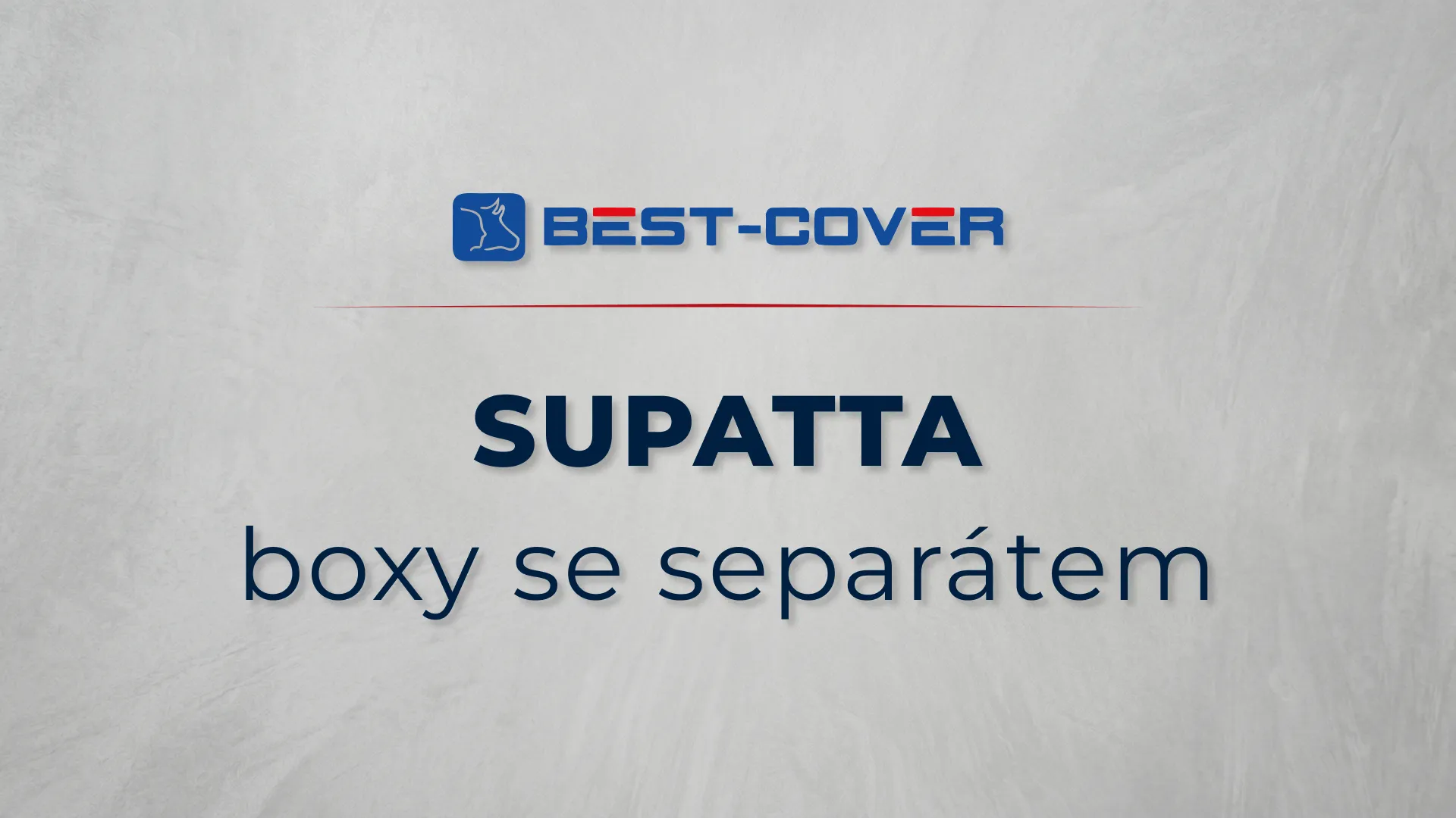 Titulní karta videa Best-Cover – SUPATTA – boxy se separátem