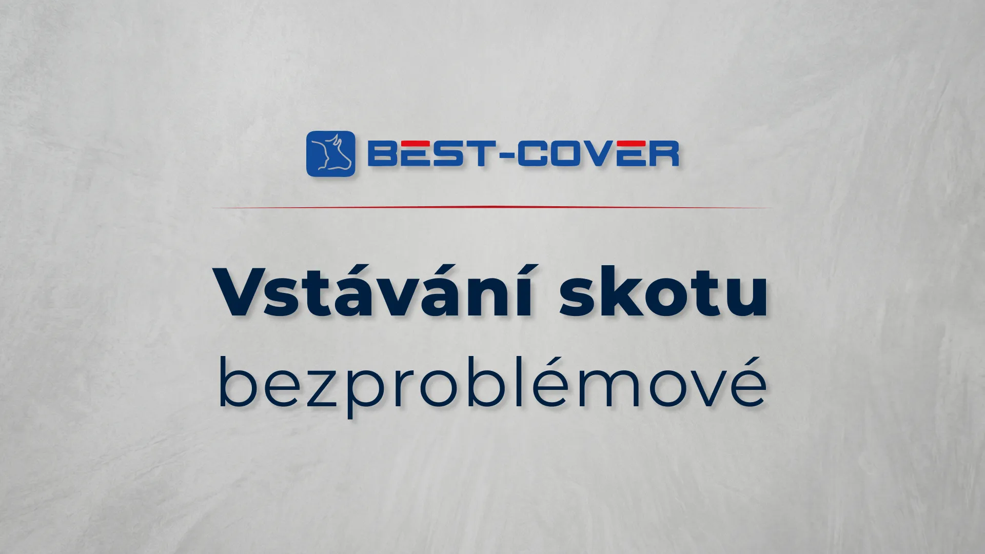 Titulní karta videa Best-Cover – Vstávání skotu – bezproblémové