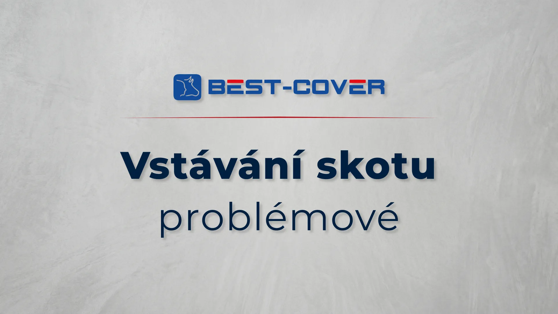 Titulní karta videa Best-Cover – Vstávání skotu – problémové