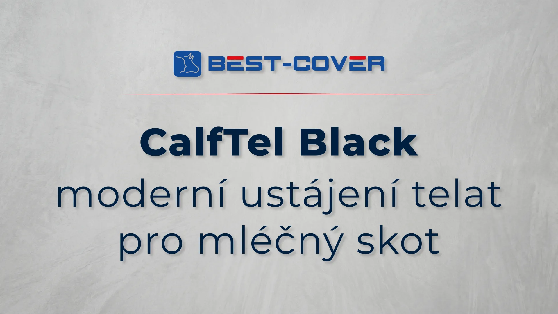 Titulní karta videa Best-Cover – CalfTel Black – Moderní ustájení telat pro mléčný skot