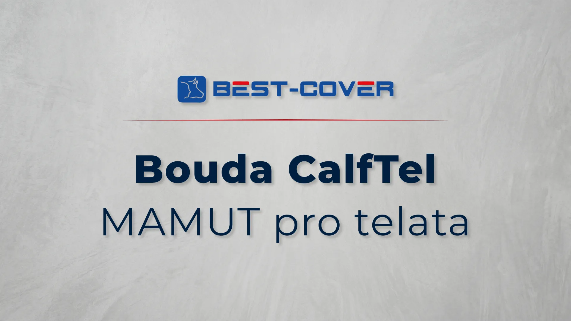 Titulní karta videa Best-Cover – Bouda CalfTel – MAMUT pro telata