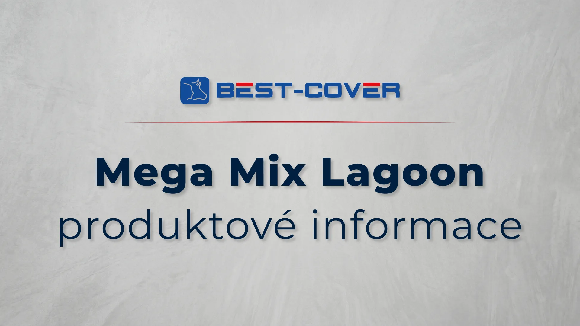 Titulní karta videa Best-Cover – Mega Mix Lagoon – produktové informace