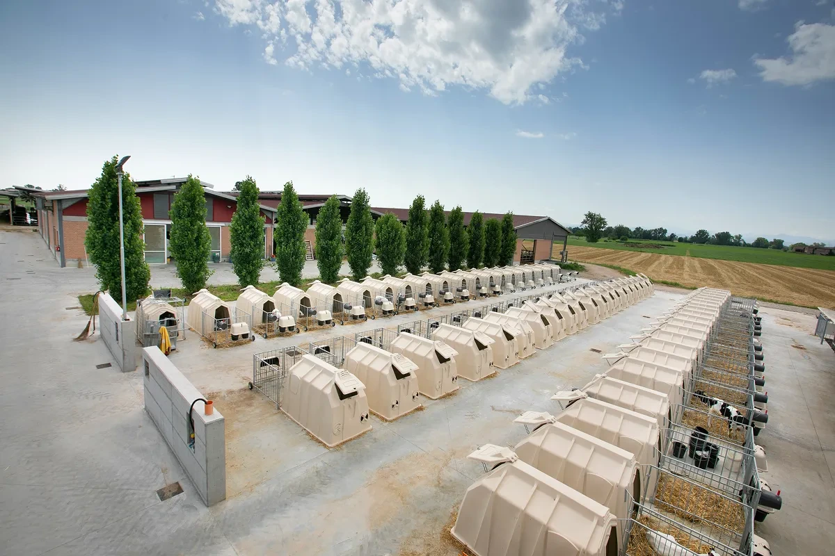 Dlouhá řada individuálních boud s ohrádkami na farmě