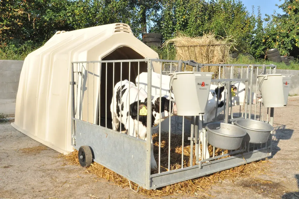 Párová bouda TWIN se dvěma telaty a držáky napájecích kbelíků