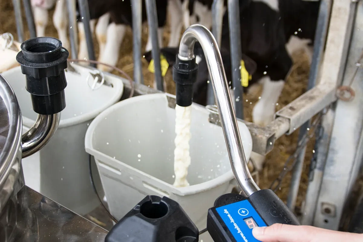 Výpust vozíku MilkTaxi plnící napájecí kbelík mlékem