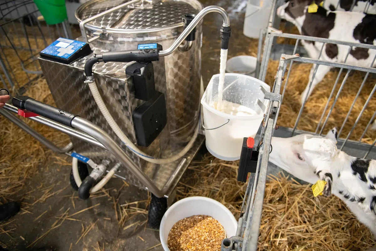 Vozík MilkTaxi u kotců s telaty při rozvozu mléka