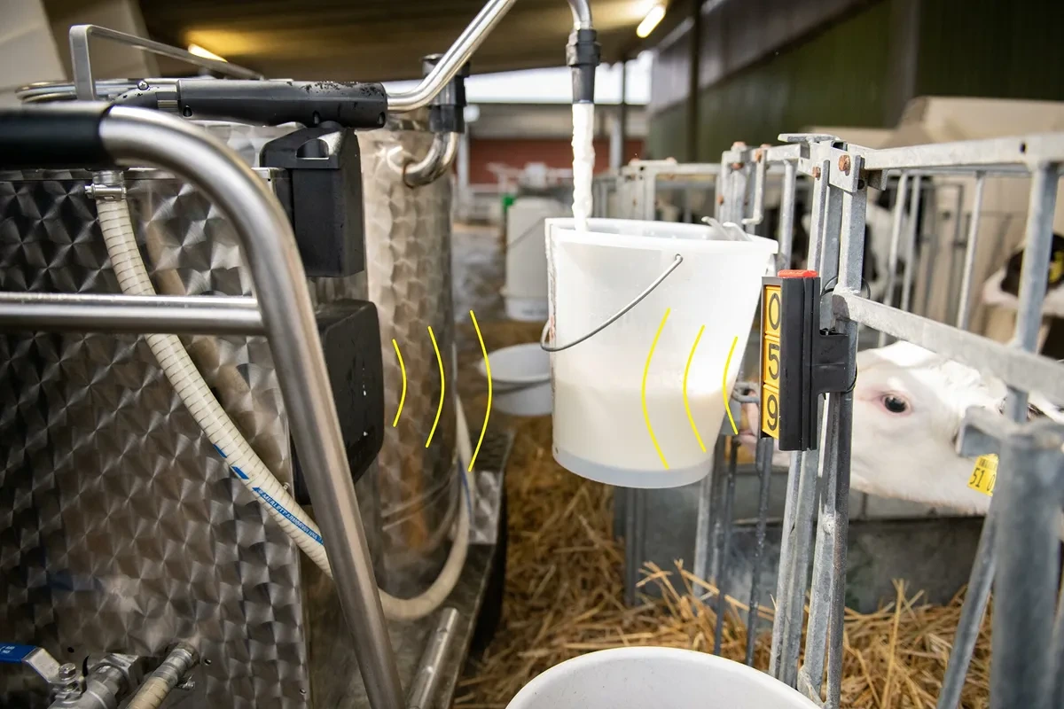 Napájecí kbelíky u kotců s telaty vedle vozíku MilkTaxi