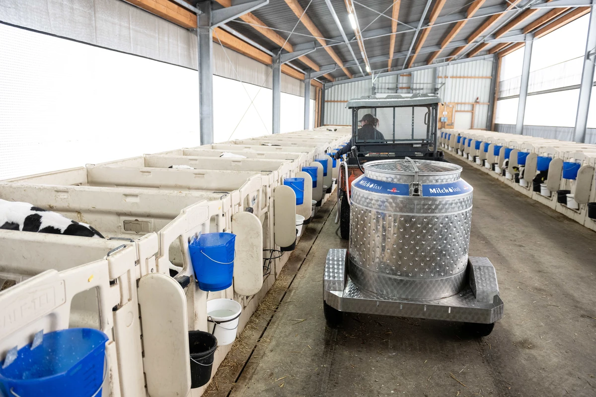 Vozík MilkTaxi v chodbě odchovny mezi individuálními boudami