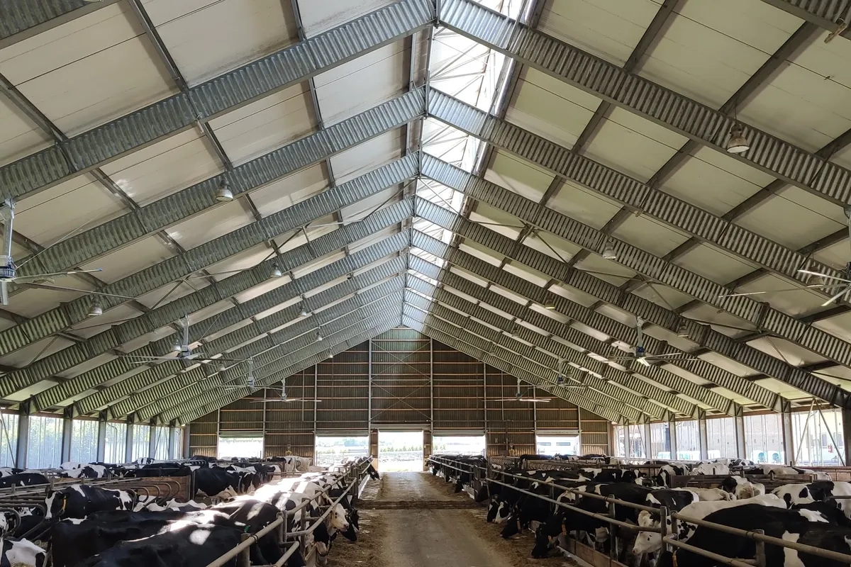 Řada stropních ventilátorů pod světlým podhledem rozlehlé stáje