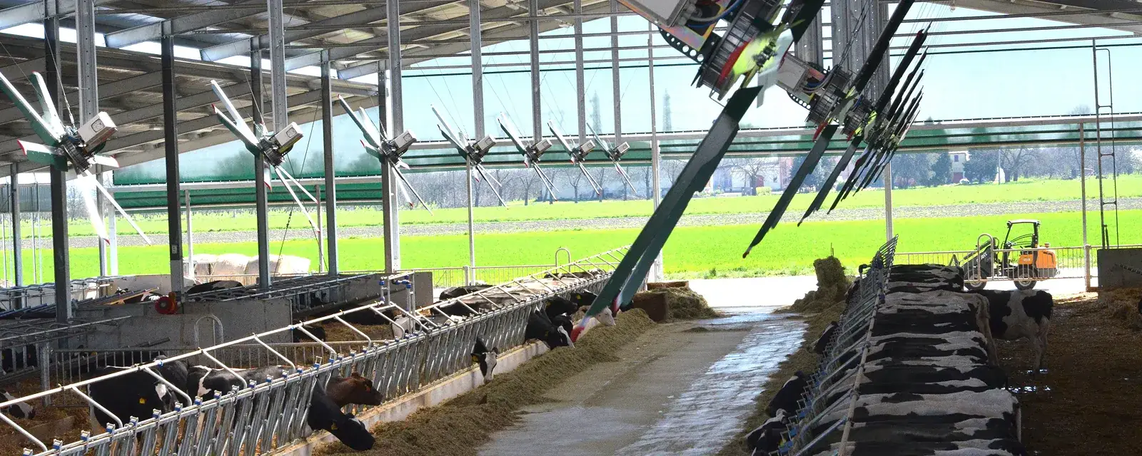 Vertikální ventilátory podél krmného stolu v prosvětlené stáji